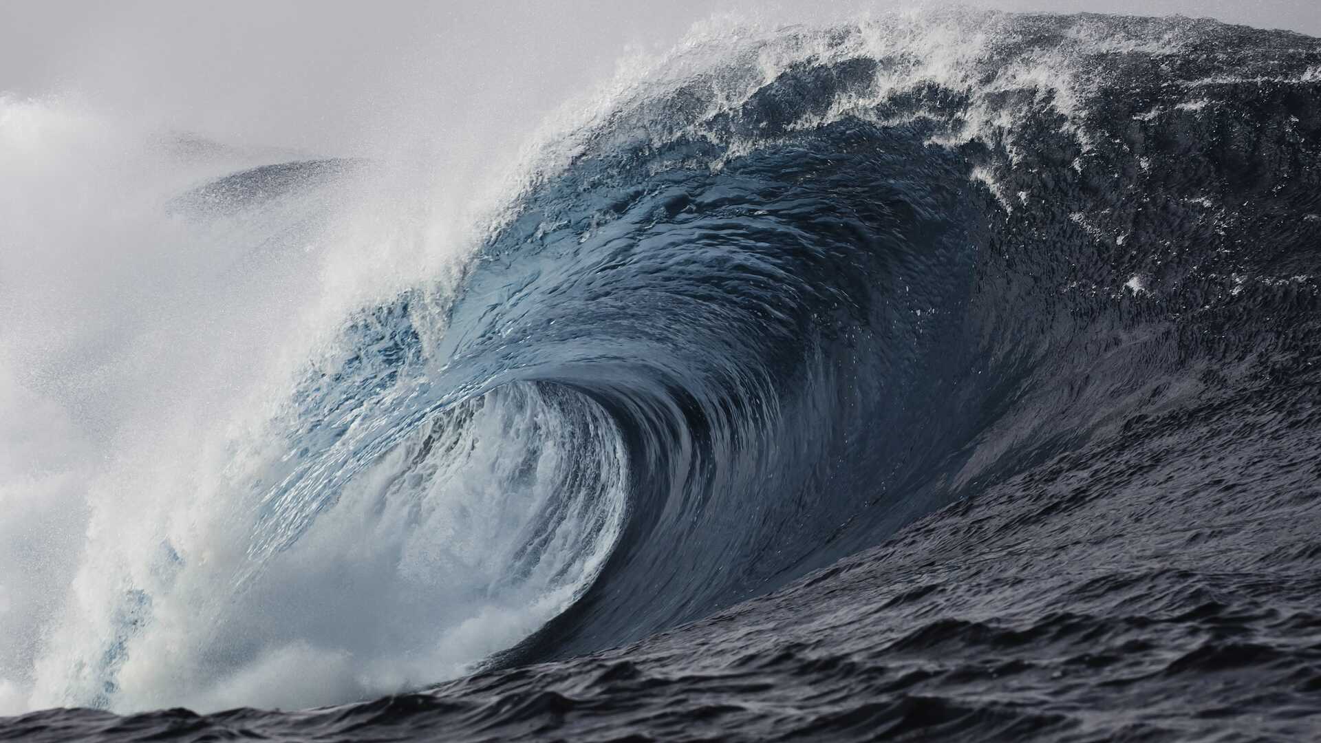 Japonya'da Amber İçinde Saklı Dinozor Çağı Tsunami'si Keşfedildi