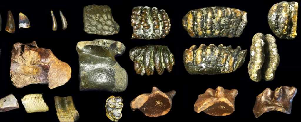 Deniz Dibinden Gelen Keşif: Endonezya'da Kayıp Batık Dünya ve Homo Erectus'un İzleri Bulundu