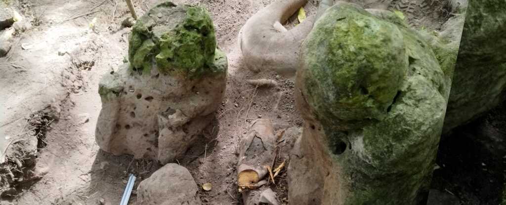 Guatemala Ormanlarında 3000 Yıllık Dev Maya Şehri Bulundu