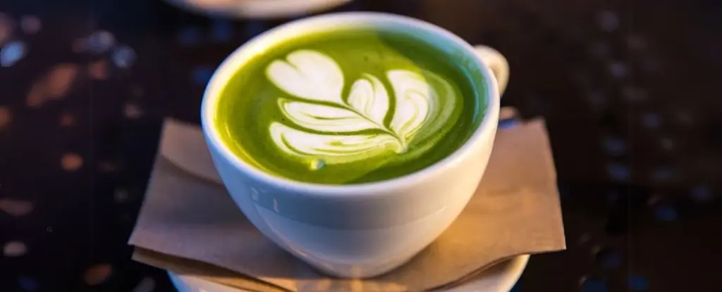 Matcha Mı, Kahve Mi? Bilimsel Veriler Ne Diyor?