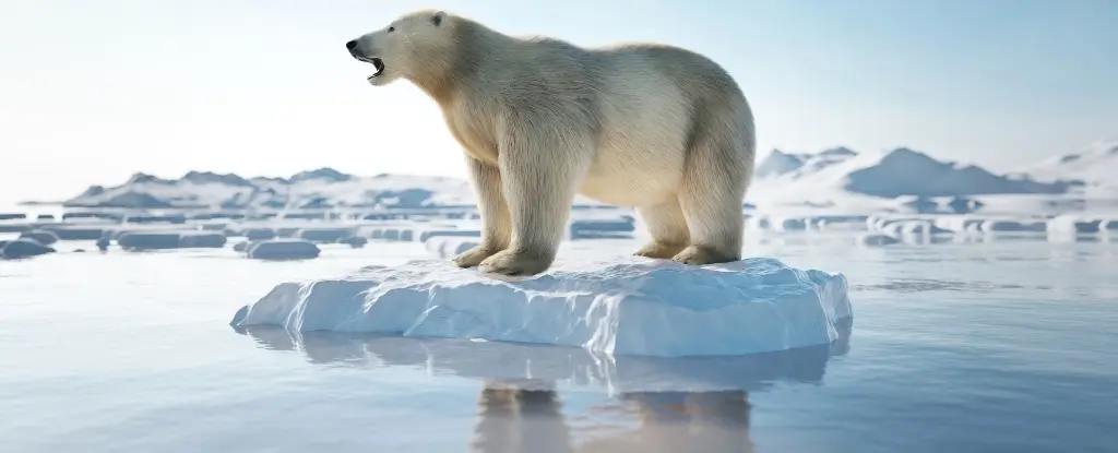 BM'den Küresel Isınma Uyarısı: 1.5°C Sınırını Aşma İhtimali Yüksek!