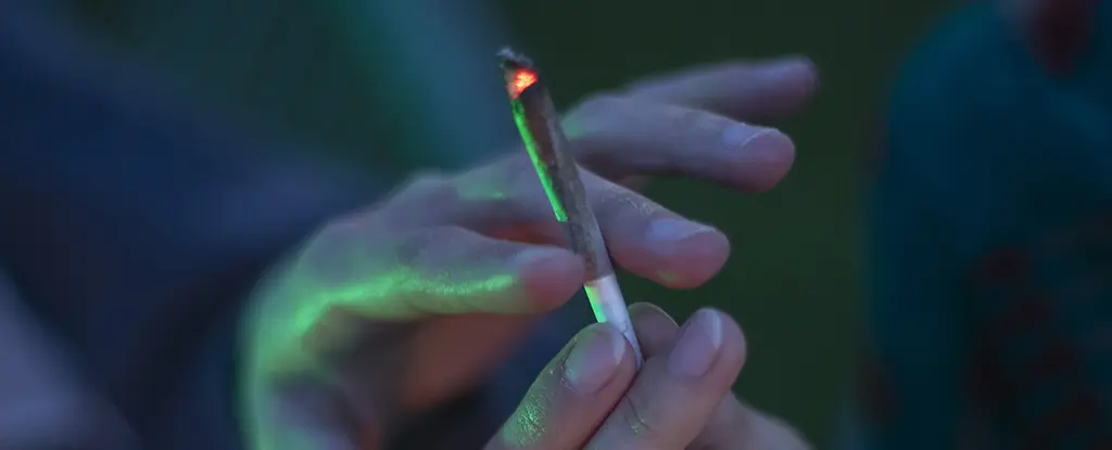 Esrar Kullanımı Sperm Kalitesini Etkiliyor Mu? Yeni Araştırma Şaşırtan Sonuçlar Sunuyor
