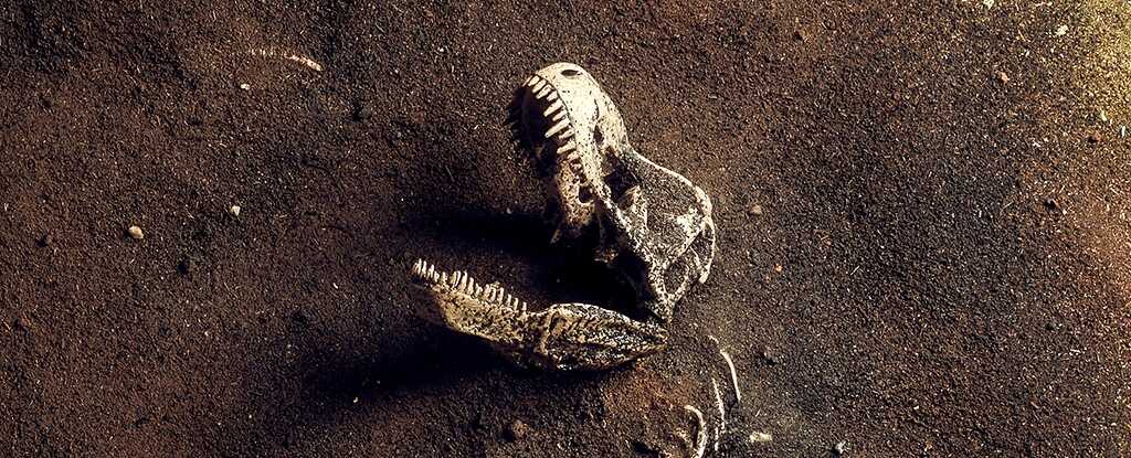 T. Rex'in Büyük Köken Gizemi Çözüldü: Aslında Asya'dan Gelmiş!