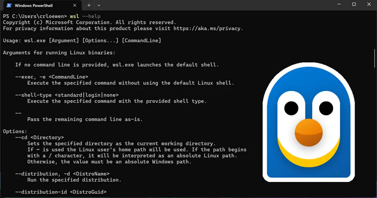 Geliştiriciler İçin Müjde: Microsoft, WSL’in Neredeyse Tamamını Açık Kaynak Yapıyor!