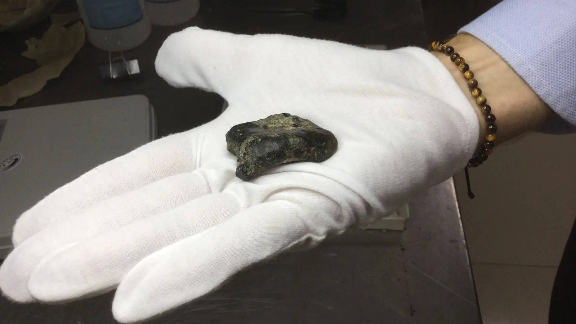 Deniz Dibinden Çıkan 140 Bin Yıllık Sır: Endonezya'da Bilinmeyen Bir Homo Erectus Popülasyonu Keşfedildi