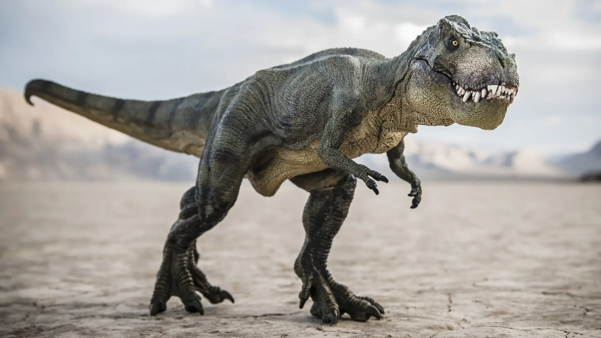 Efsanevi T. Rex'in Evrimi: Yeni Araştırma Kuzey Amerika Kökenini İşaret Ediyor