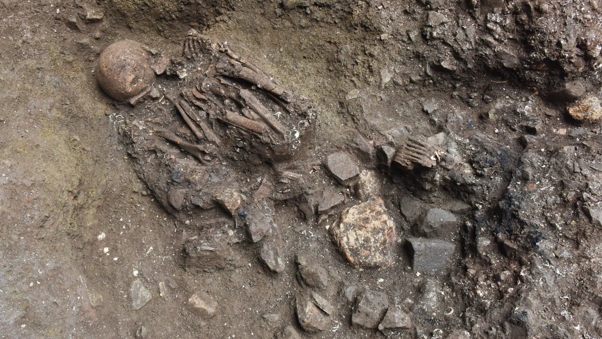 DNA Çalışması Ortaya Çıkardı: Tibet’teki Gizemli Nüfusa Bağlı ‘Hayalet’ Soy Hattı Keşfedildi!