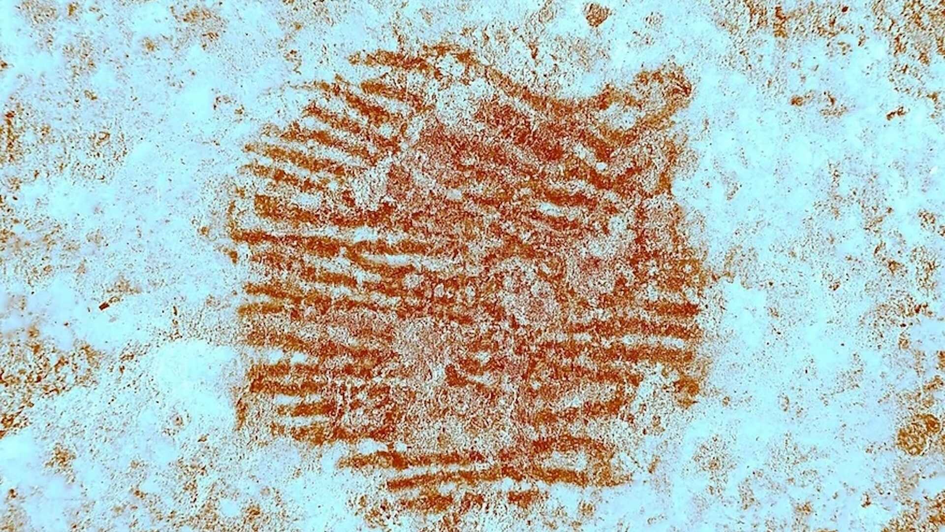 43.000 Yıllık Şaşırtıcı Keşif: Dünyanın En Eski İnsan Parmak İzi Bir Neandertal'e Ait!