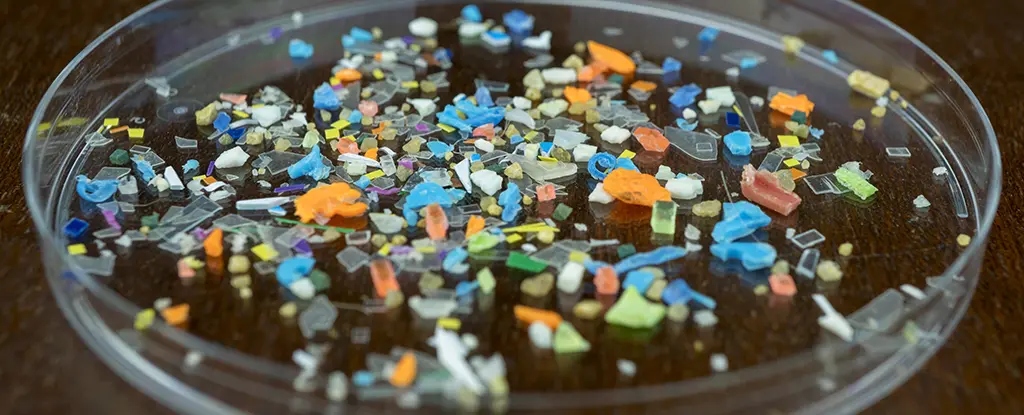 Bağırsak Sağlığımız Tehlikede mi? Mikroplastiklerin Şok Edici Etkisi Ortaya Çıktı