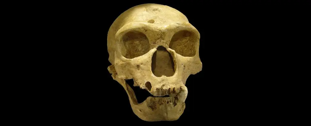 Neanderthalleri Uzaydan Gelen Radyasyon mu Yok Etti? Yeni Teori Bilim Dünyasını Karıştırdı