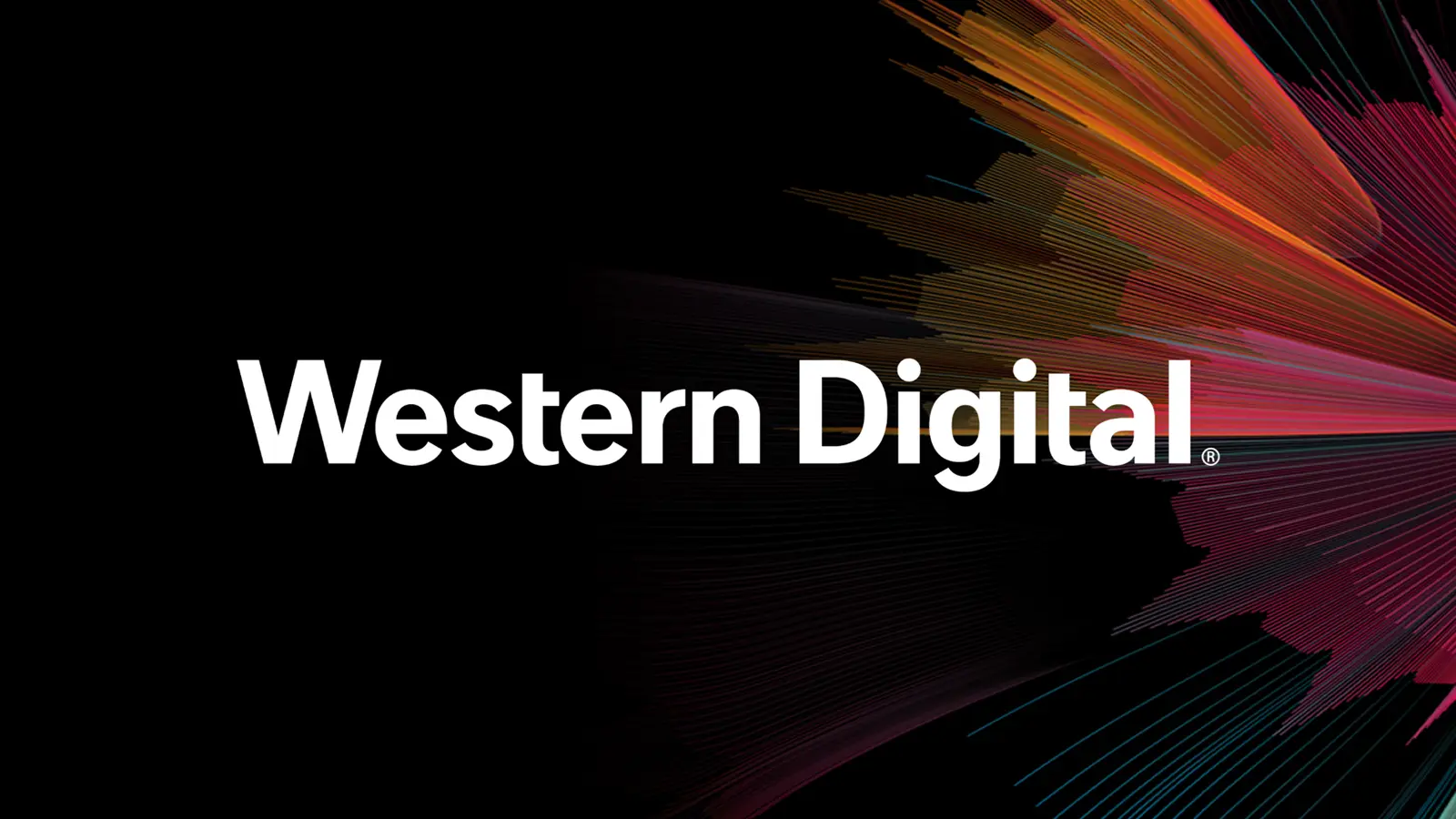 Western Digital'ın Yarım Milyar Dolarlık Cezası Şoke Eden Kararla 1 Dolara İndi!