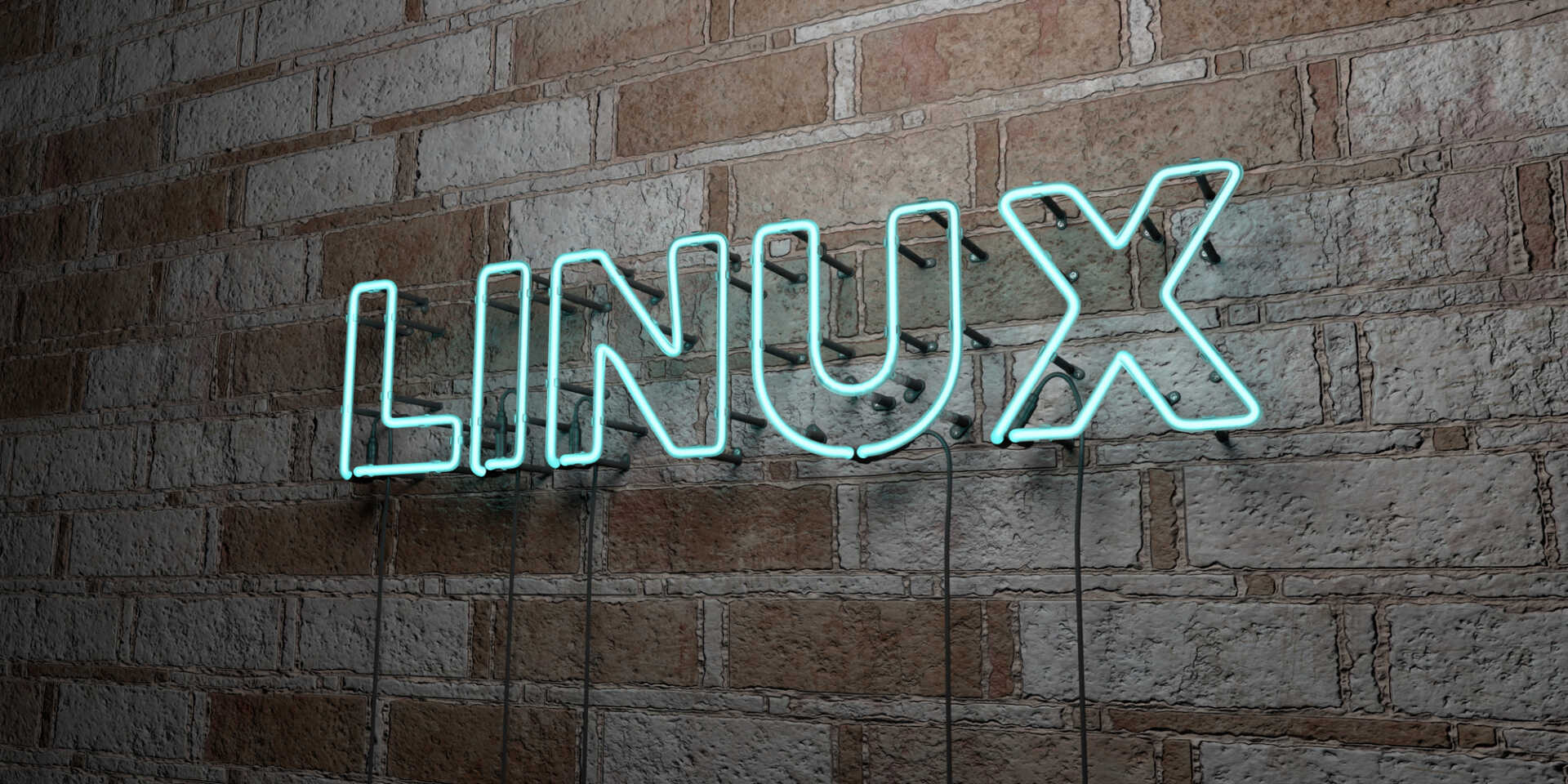 Steam ve Linux Oyuncuları Rahat Nefes Aldı! Fedora 32-Bit Desteğini Çekme Kararından Vazgeçti