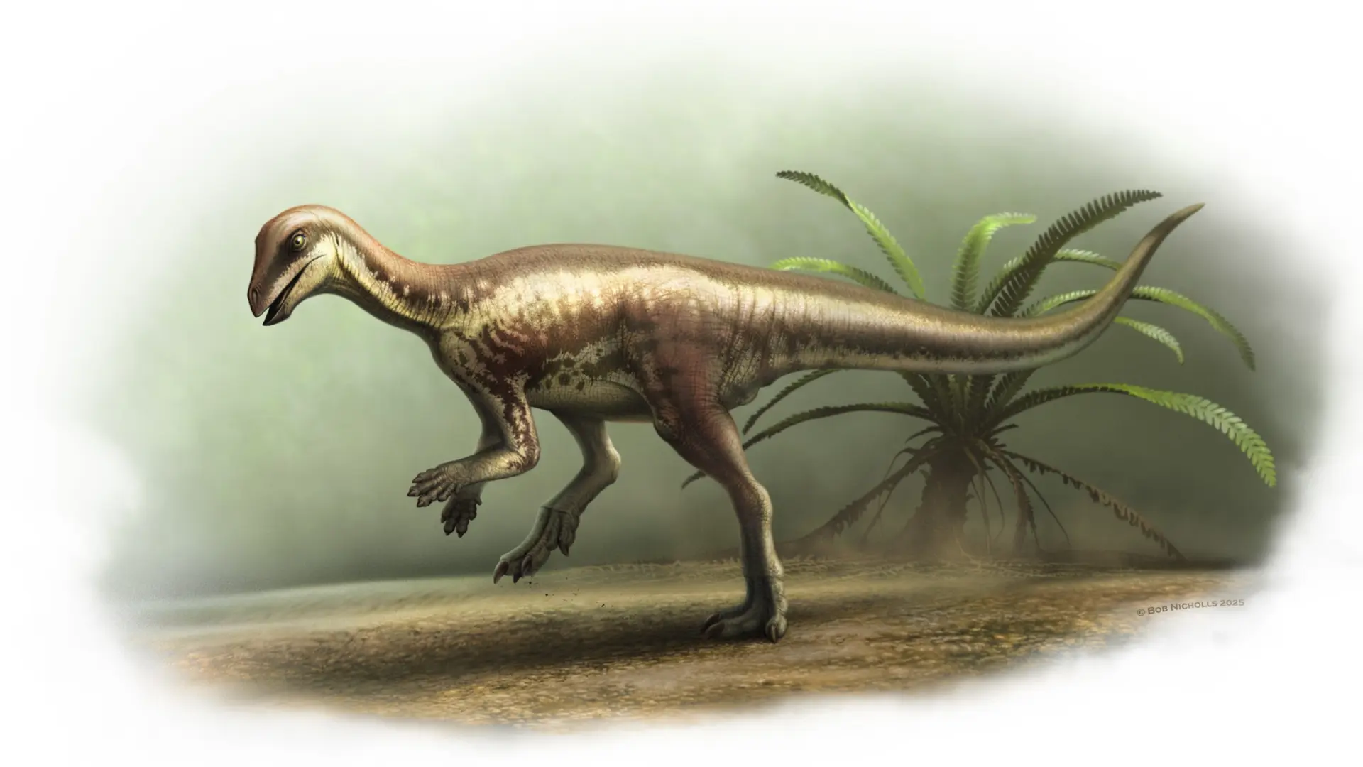 Gizemli 'Koşucu' Dinozor Colorado'da Bulundu: Jurassic Dönem Anlayışımız Yeniden Yazılıyor