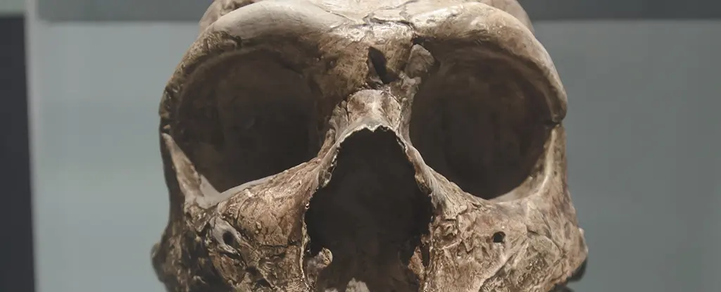 Beynimizdeki Neandertal İzleri: Chiari Malformasyonunun Gizemli Kökeni!