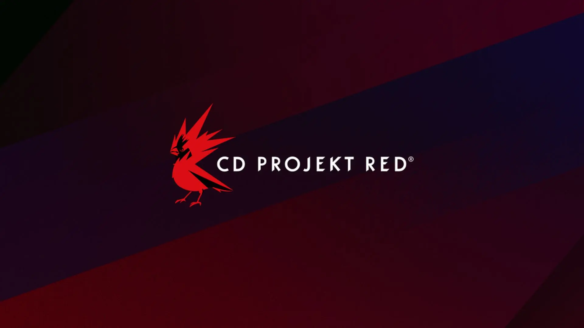 CD Projekt Red'in Yeni Oyunu Project Hadar Yakın Dövüş Odaklı Aksiyon RPG Olacak!