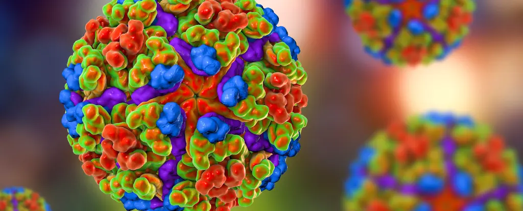 DSÖ'den Acil Uyarı: Chikungunya Virüsü Küresel Salgın Riski Taşıyor!