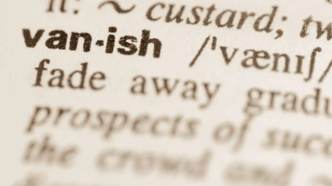 Dictionary.com Kullanıcılarını Şok Etti: Kayıtlı Kelime Listeleri Silindi!