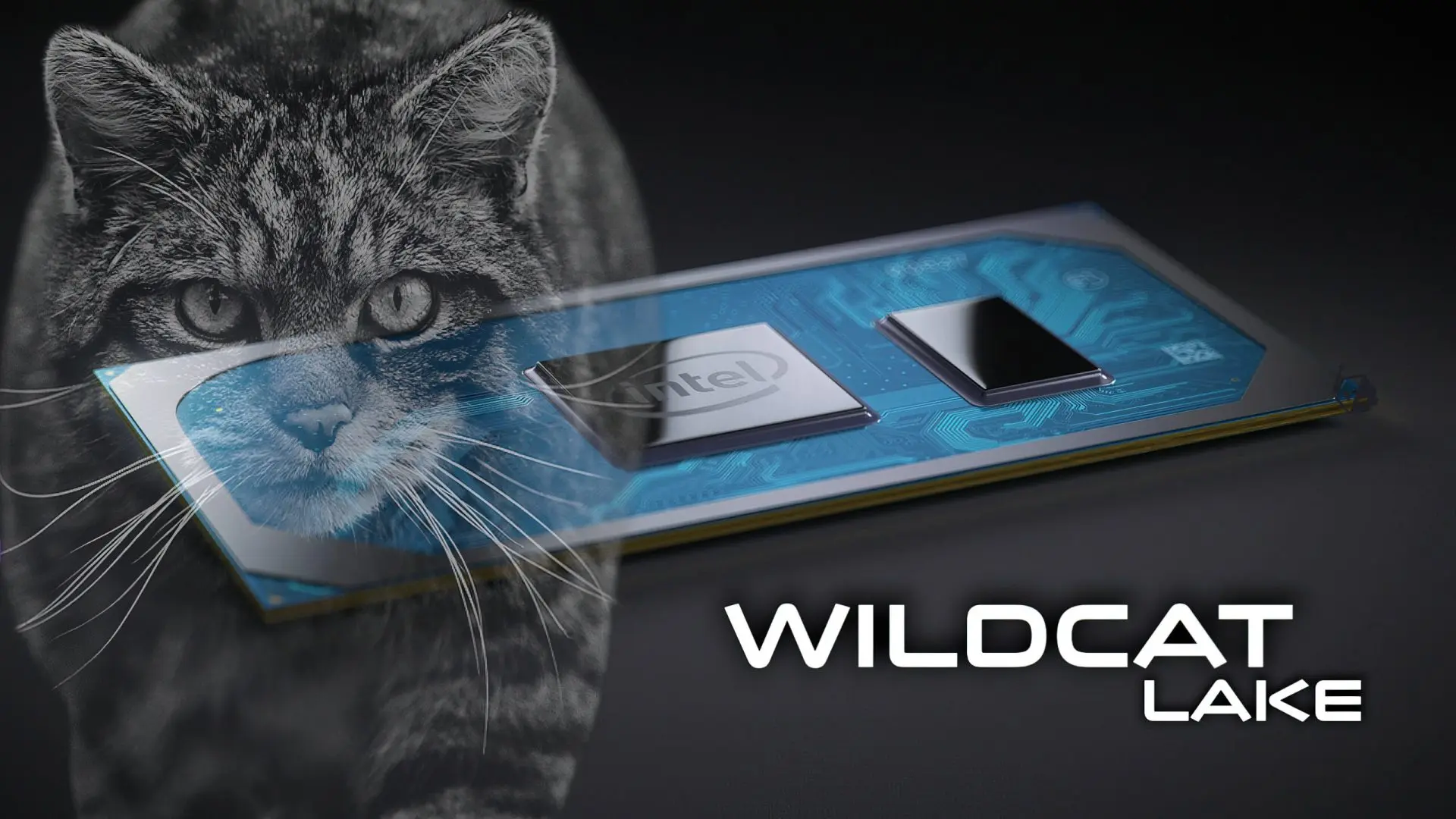 Intel'in Yeni Giriş Seviyesi İşlemcileri Geliyor: Wildcat Lake Ray Tracing Desteği Olmadan Tanıtılacak