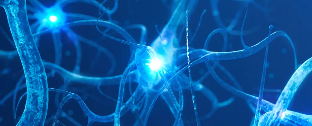 Bilim Dünyası Duyurdu: Alzheimer'a Giden 4 Farklı Yol Belirlendi!