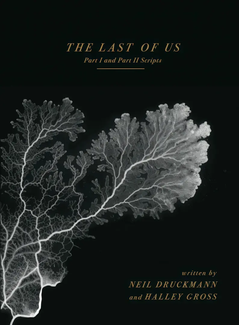 The Last of Us Hikayesi Kitap Oluyor: Serinin Tüm Öyküsü Tek Eserde!