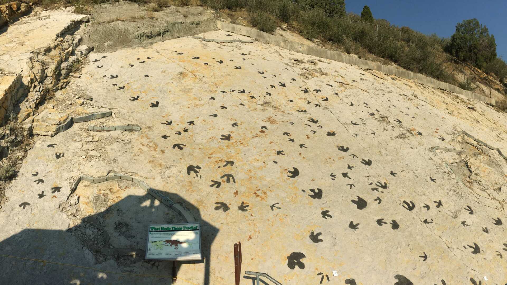Dinozorlar Aşk İçin 'Moonwalk' Yapmış: Yeni Bulunan 'Dans Arenası' İpuçları Verdi!