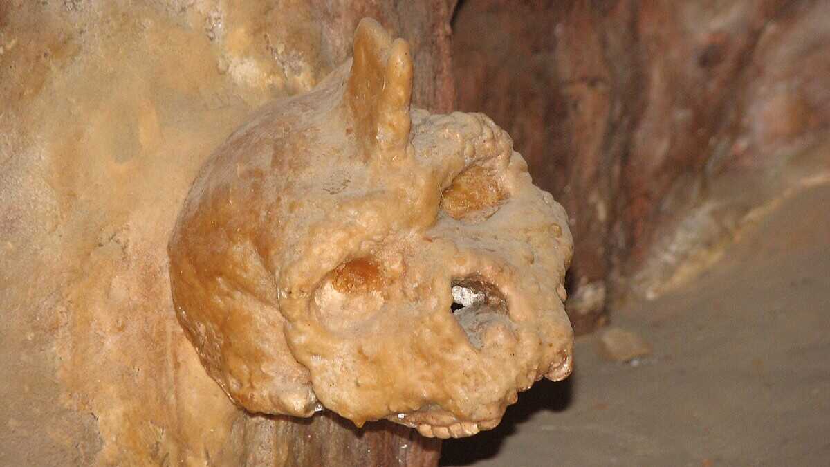 300.000 Yıllık Gizemli Kafa Kemikinde Yeni Keşif: Ne İnsan Ne de Neandertal!