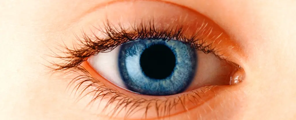 Çocuklarda Gelecekteki Obezite Riskini Öngören Devrim Niteliğinde Genetik Test Teknoscope'ta!
