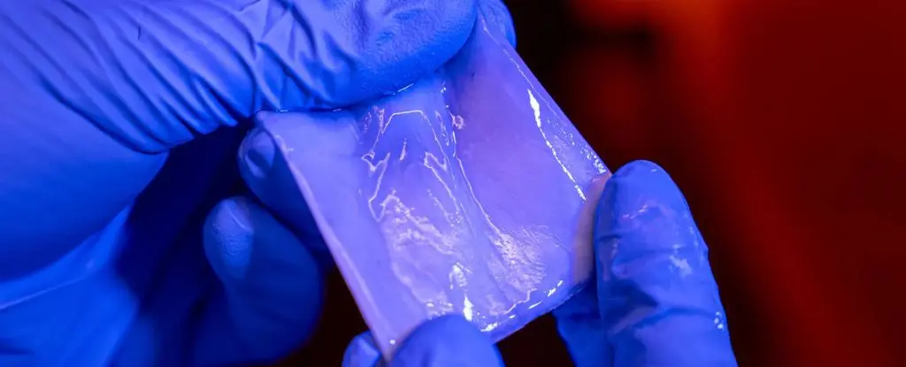 Yarınların Süper Malzemesi: Bakterilerle Üretilen Olağanüstü Biyoplastik Keşfedildi!