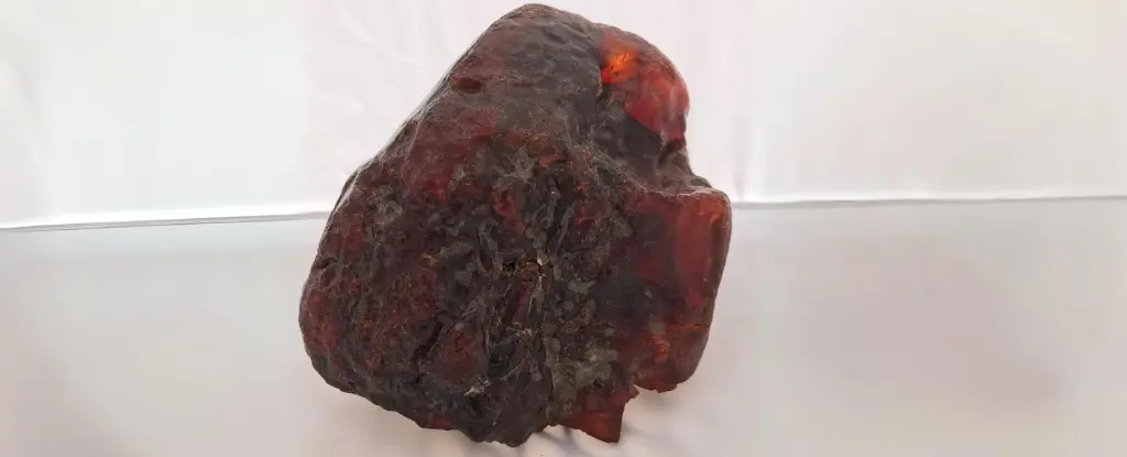 Kapı Takozu Olarak Kullanılan Kaya Milyon Dolarlık Değer Taşıyormuş!