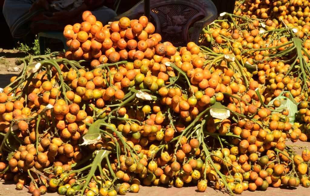 4.000 Yıllık Diş Plakları Açığa Çıkardı: Betel Cevizi Kullanımı Görünmez Kanıtlarla Doğrulandı