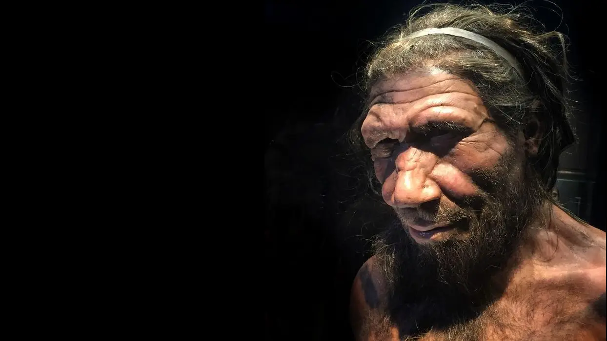 İnsanları Neandertallerden Ayıran Gen: Yok Oluşun Sırrı Farelerde Ortaya Çıktı!