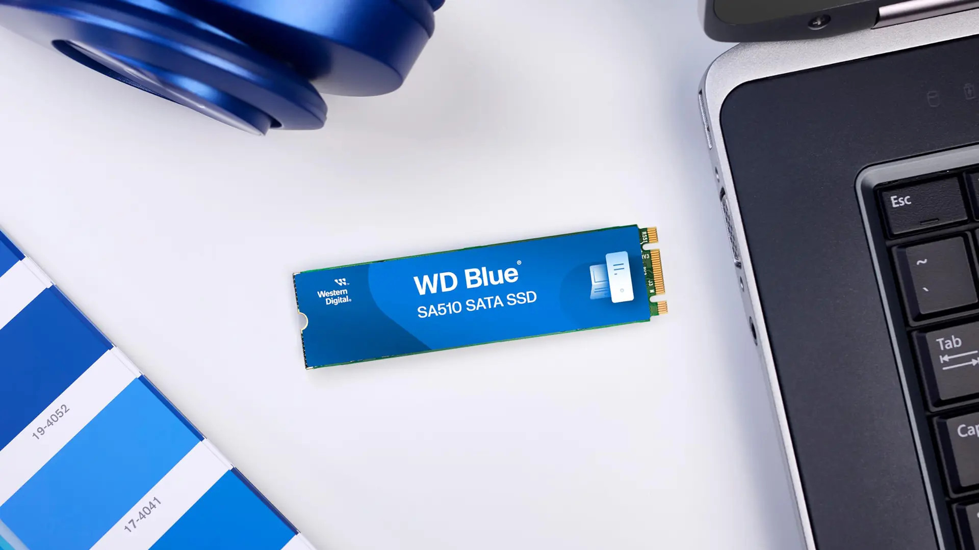 Windows 11 Güncellemesi SSD'leri Okunmaz Hale Getiriyor: Büyük Dosya Aktarımlarında Ciddi Sorunlar!