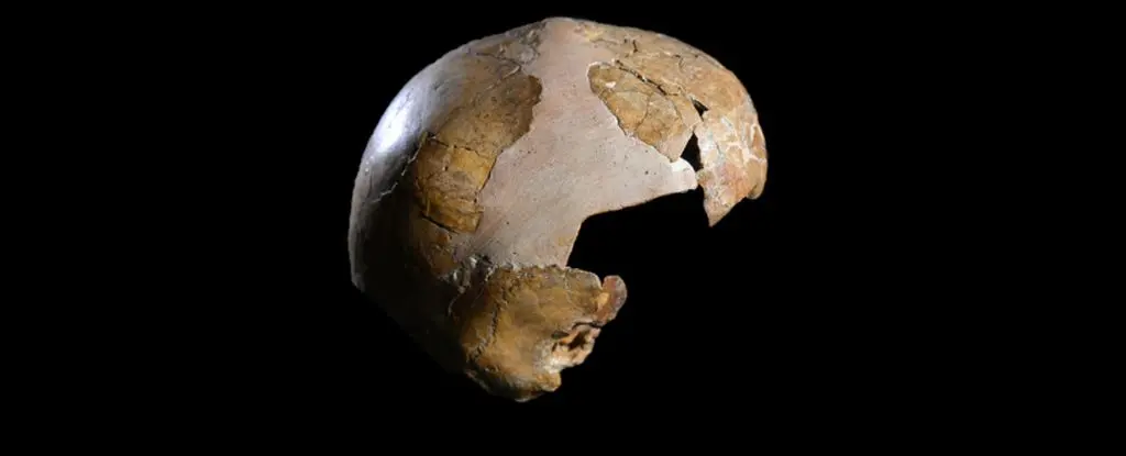 Tarih Yeniden Yazılıyor: DNA'mızdaki Neandertal İzleri 140.000 Yıl Öncesine Dayanıyor!