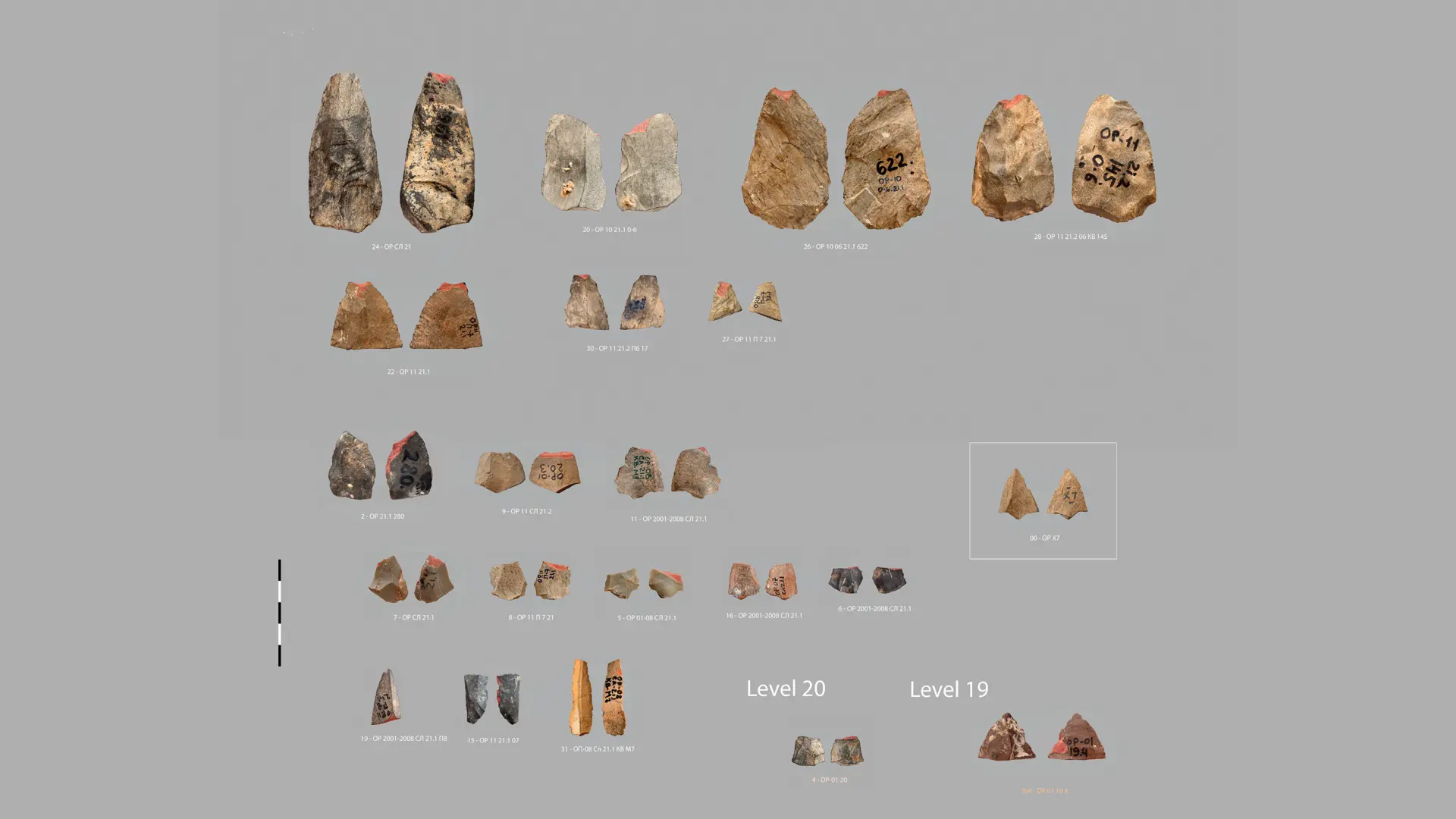 80.000 Yıllık Keşif: Ok Uçları Neandertallerden miydi?