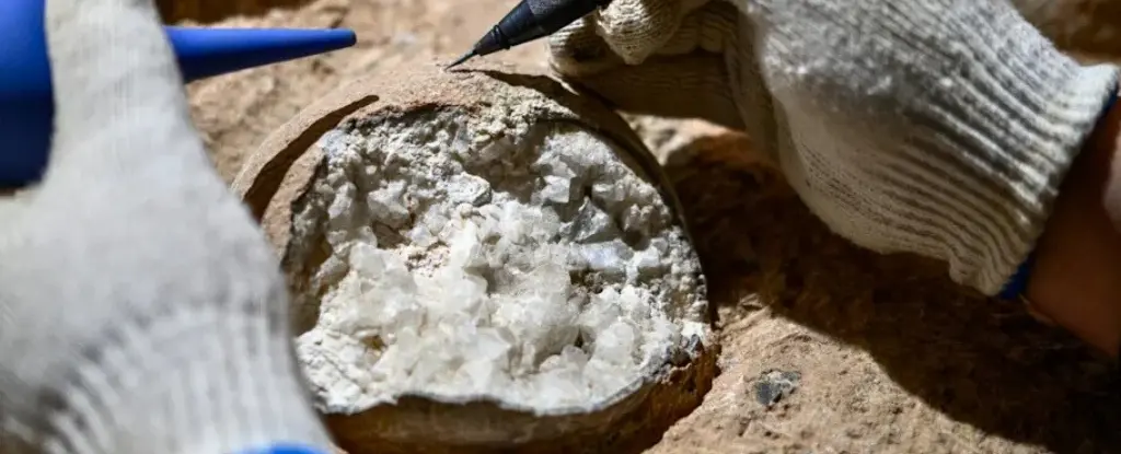 Bilim İnsanları Dinozor Yumurtalarına Lazer Tuttu: 85 Milyon Yıllık Gizem Perdesi Aralandı!