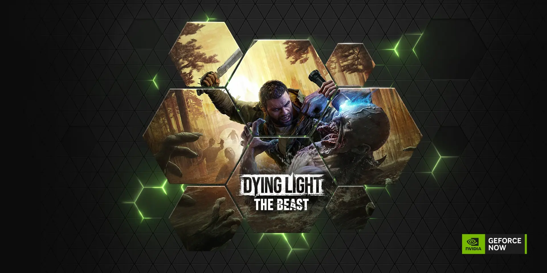 Oyun Tutkunlarına Müjde! GeForce NOW Kütüphanesine Yepyeni Oyunlar Geliyor, RTX 5080 Desteğiyle Deneyim Zirve Yapacak!