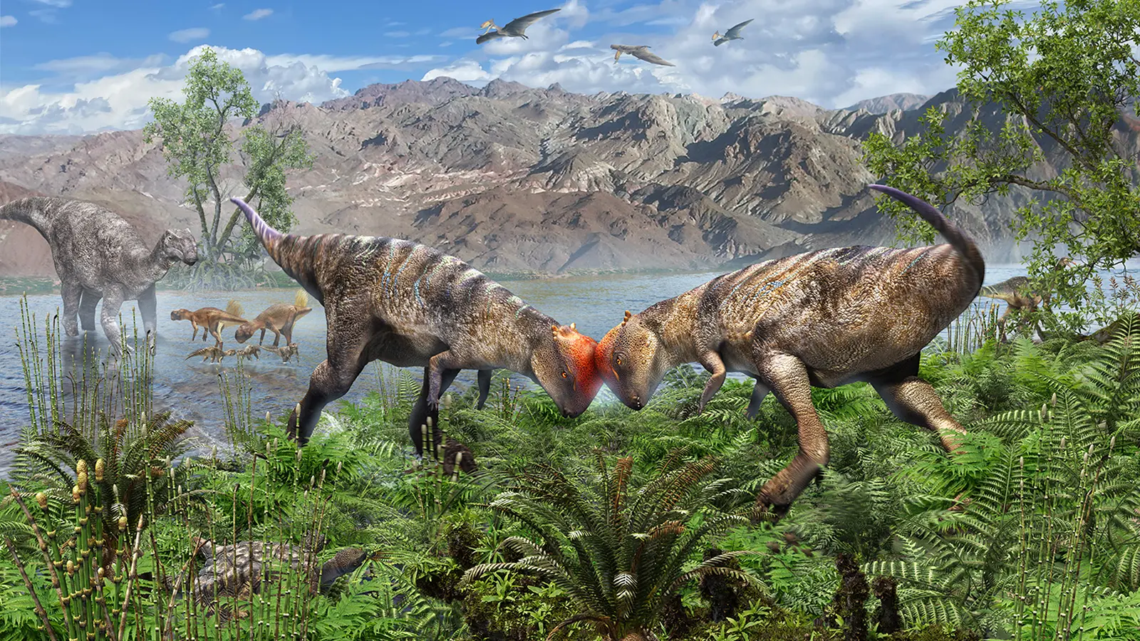 Moğolistan'da 115 Milyon Yıllık Kubbe Kafalı Dinozor Fosili Bulundu: Bilim Dünyası Şaşkın!