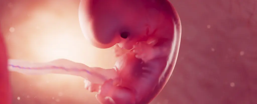 Anne Karnından Bebeğe Mikroplastik Tehlikesi: Bilim Dünyasında Büyük Soru İşaretleri!
