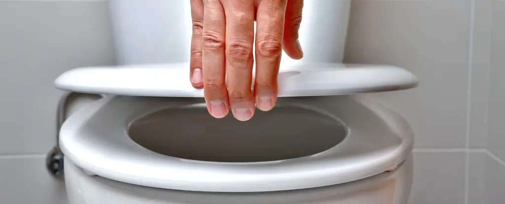 Bilimsel Gerçekler Ortaya Çıkıyor: Tuvalet Koltukları Ne Kadar Tehlikeli?