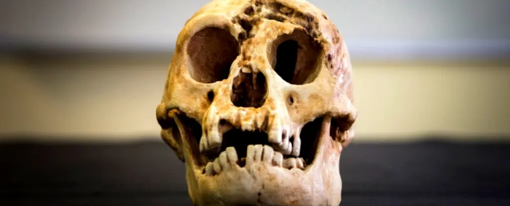 Homo Floresiensis'in Boyutunun Sırrı Çözüldü: Dişler ve Çocukluk Büyümesi Anahtar Rol Oynamış