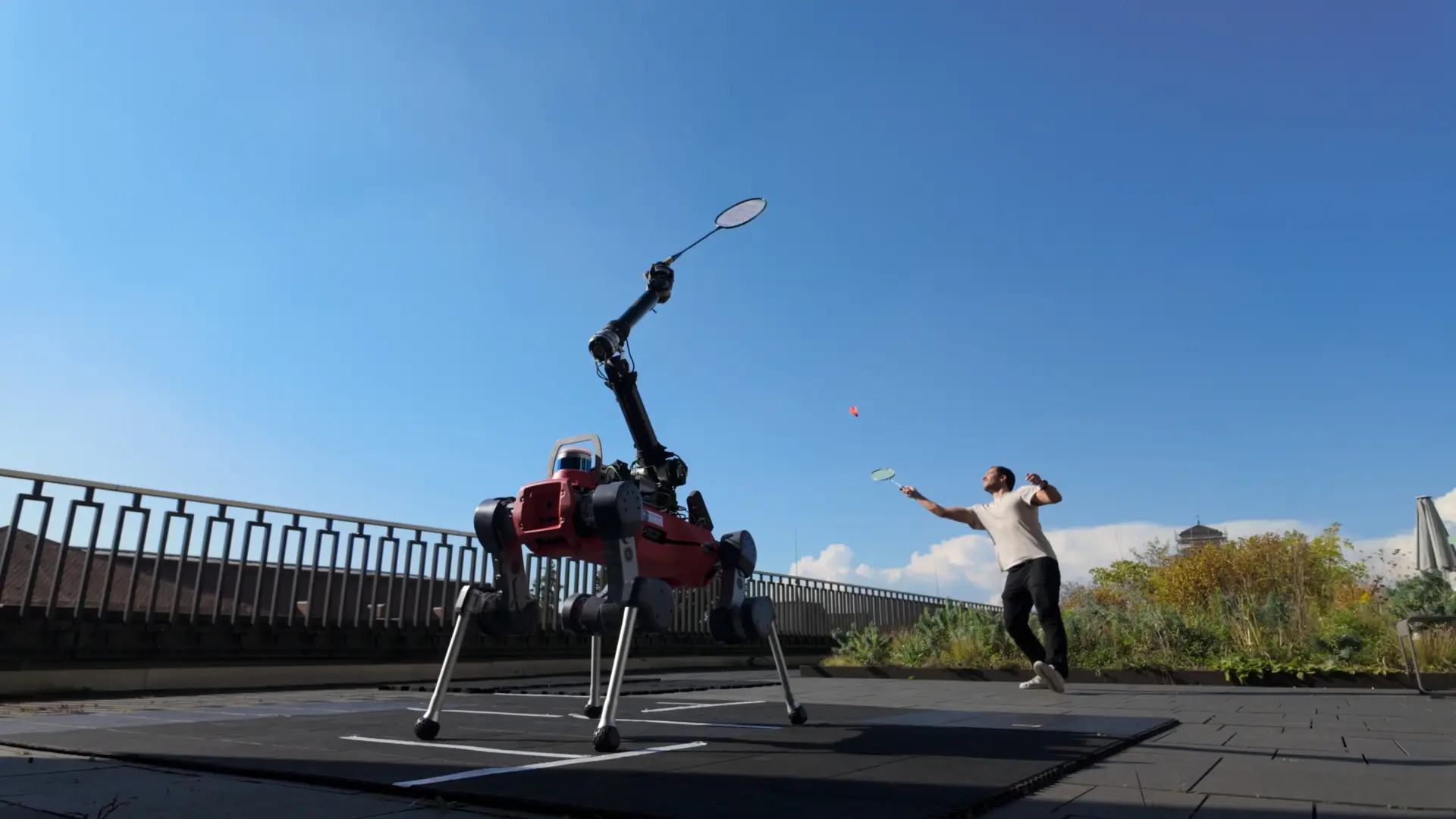 Yaprak Sallayan Robot Köpek: Yapay Zeka ile Badminton Macerası!