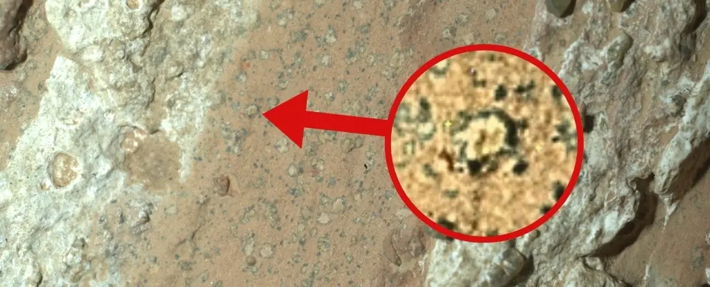 Mars'ta Yaşam İzi mi? Kaya Örneklerindeki 'Leopar Desenleri' Bilim İnsanlarını Heyecanlandırdı