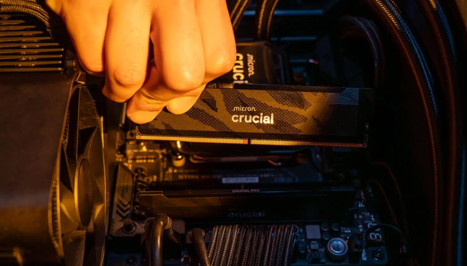 Oyun Performansını Fırlatan Yeni Nesil RAM: Crucial Pro OC DDR5 Duyuruldu!