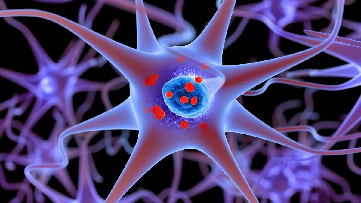 Parkinson’s Proteinini Toksik Olmadan Donduran Peptit Keşfedildi