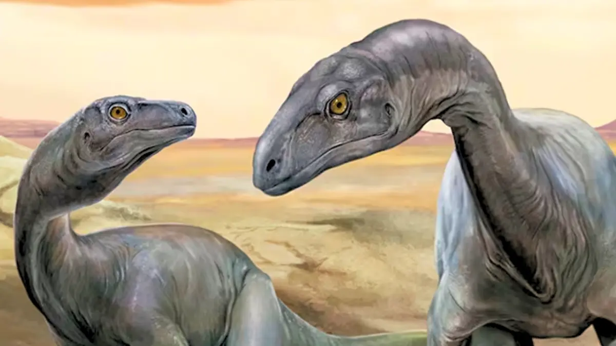 Arjantin'de Bulunan Fosilleşmiş Kalıntı: Dünyanın En Eski Dinozorlarından Biri Ortaya Çıktı