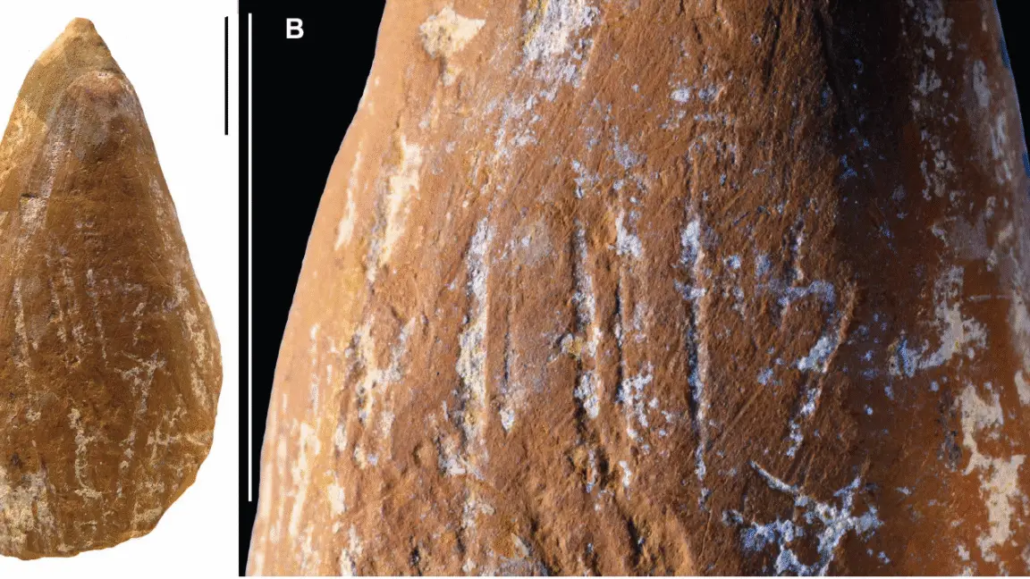 Neandertallerin Gizli Sanatçı Yanı: Oker Boyalarla Sanat Yaptıkları Ortaya Çıktı!