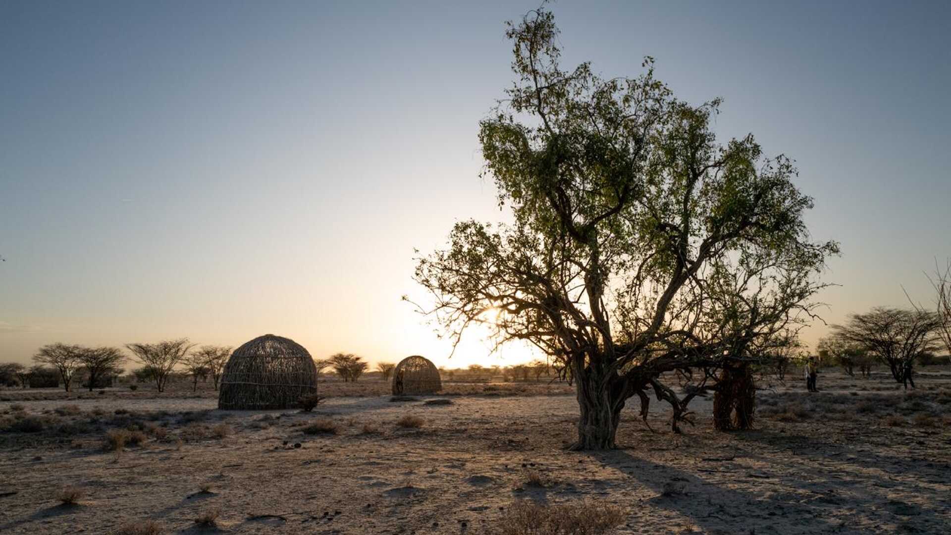 Afrika'nın Sıcak Çöllerinde Hayatta Kalma Sırrı: Kenya Halkının Genetik Adaptasyonu
