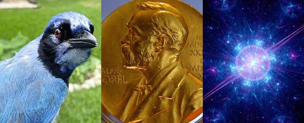 Bilim Dünyasından Haftanın Gündemi: Kalp Hastalıkları, Nobel Ödülleri ve Evrenin Sonu