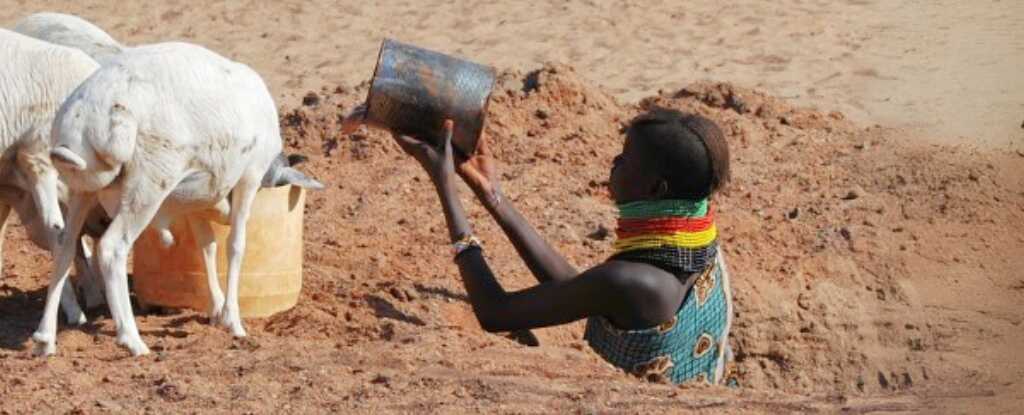 Çöl Koşullarına Genetik Adaptasyon: Turkana Halkının Gizemi Çözülüyor!