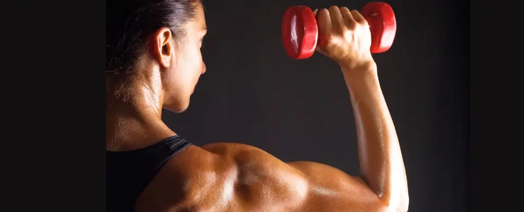 Aç Karnına Spor Yapmak Daha Çok Yağ Yakar mı? Bilim Ne Diyor?